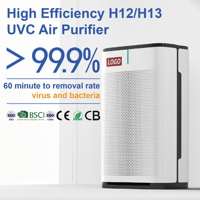 Purificador casero del aire para los virus y las bacterias